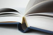 Blue book Blue book
