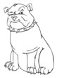 Wachhund, Hund, Security, bewachen, aufpassen