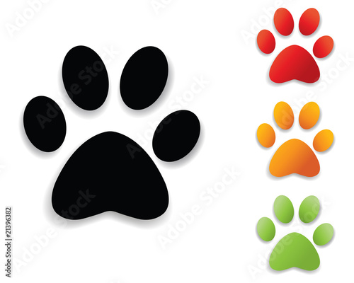 Vector: paw print collection paw print collection