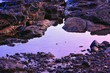 Photo: Maine Tidal Pools at sunset Maine Tidal Pools at sunset