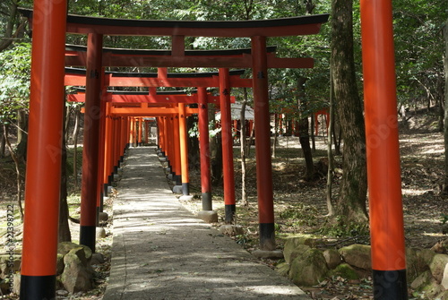 Photo: Torii gate Torii gate