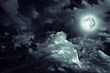 magic moon over the clouds