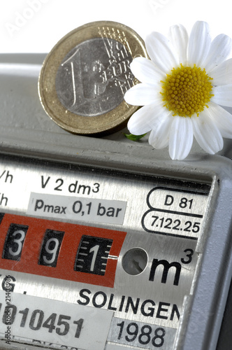 Foto: Gaszähler Erdgas mit Euro und Blume Energiekosten Gaszähler Erdgas mit Euro und Blume Energiekosten
