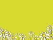 hintergrund/karte mit margeriten-blüten