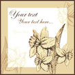 Vector: retro flower card retro flower card