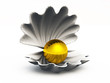 Die goldene Perle Die goldene Perle