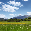 Bergpanorama am Hopfensee Bergpanorama am Hopfensee