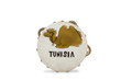 Tunisia tambourine