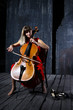 Beautiful cello musician