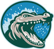 Angry crocodile head snapping