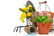 Gardening tools and flowers