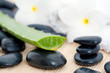 Bienfaits de l'Aloe