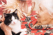 The grandmother with a cat on a sofa