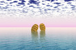 Floating Barrels