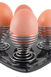 boiled eggs in holders on plate on white background