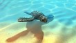 Baby turtle swimming in the sea 3D