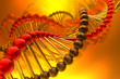 Render of dna