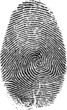 fingerprint