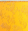 Close up of beer bubbles in the glass