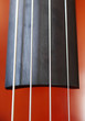 Cello closeup