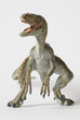 Velocirraptor