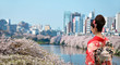 Sakura, cerisiers en fleurs à Tokyo Iidabashi - Japan Sakura, cerisiers en fleurs à Tokyo Iidabashi - Japan