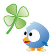 oiseaux chance