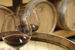 Photo: un sorso di vino in cantina un sorso di vino in cantina