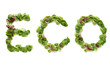 eco salat