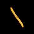 French fry