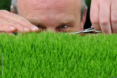 Foto: Rasenpflege Rasenpflege