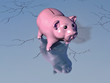 finanzkrisen sparschwein auf dünnem eis