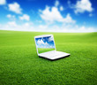 notebook on the green field