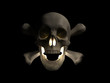 scary skull