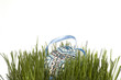 Decorated Blue Easter Egg on Grass