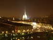 Turin view
