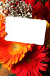 biglietto di auguri su fiori