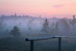 Early morning on the swamp