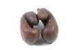 vintage brown boxing gloves on white background