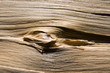 pine wood texture
