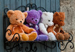 Teddybären