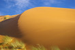 Sahara landscape