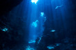 underwater background underwater background