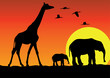 giraffe and elephants in africa