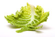 Abstract Cabbage Leaf