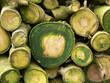 bois vert