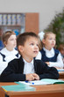 Cute schoolboy on real lesson