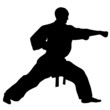 MARTIAL ARTS punch.Vector.