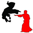MARTIAL ARTS - AIKIDO