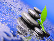 Zen stones